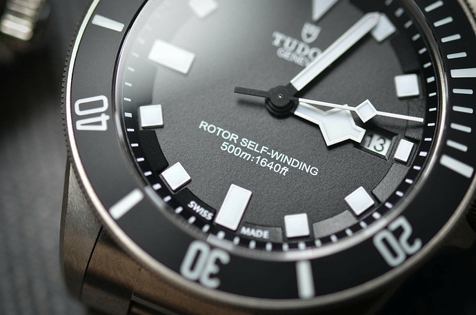 TudorPelagos_25