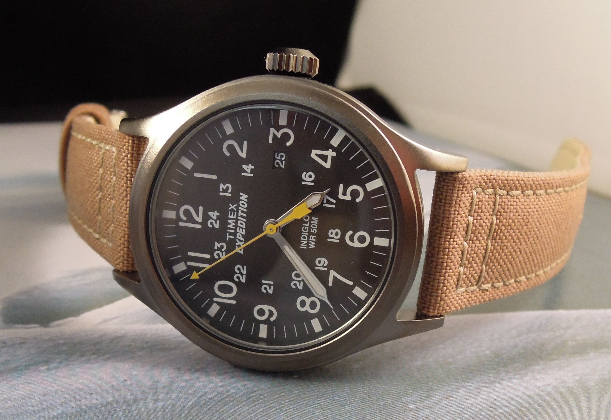 timex expedition dive style
