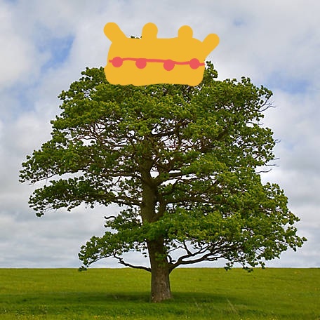 1296920