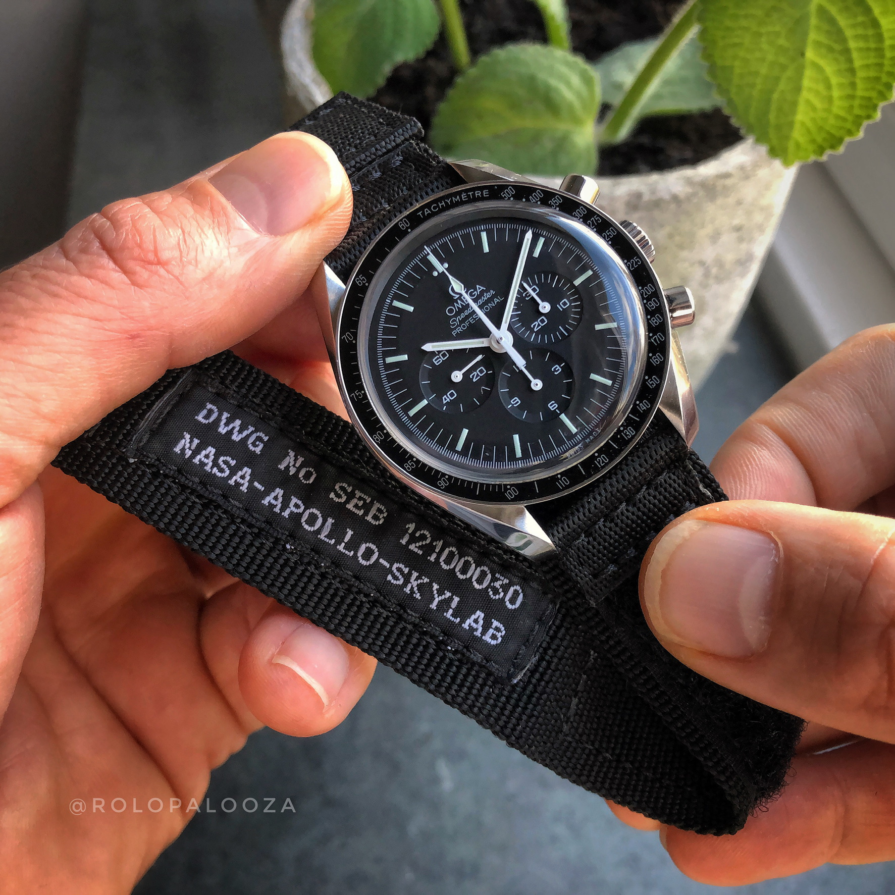 Omega velcro strap best sale