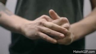 giphy (4)