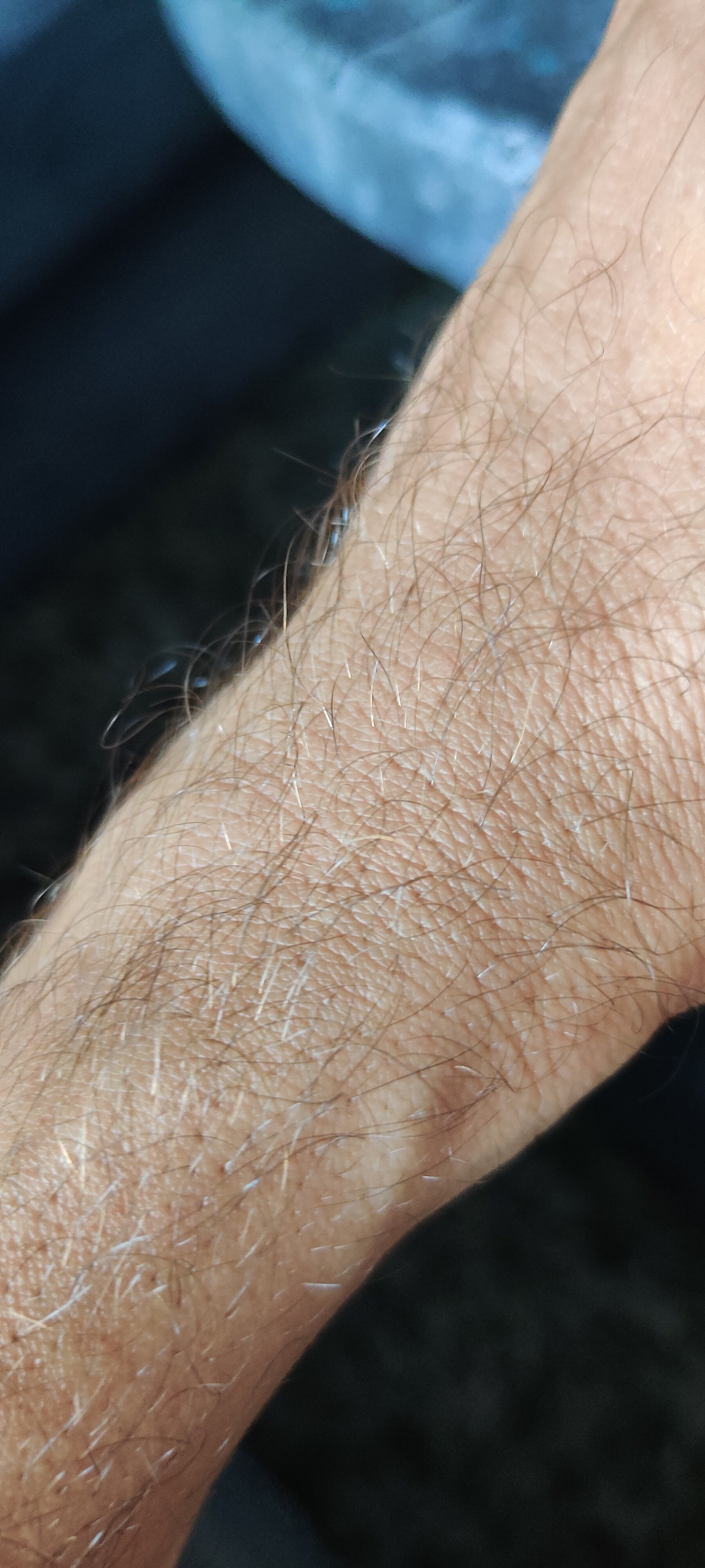 16548004705321686712262116730787