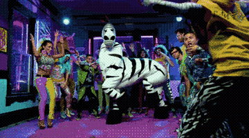 zebra-zIj9a8