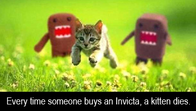 When-You-Buy-An-Invicta-Kittens-Die