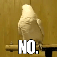 no-gifs-HsXzBm