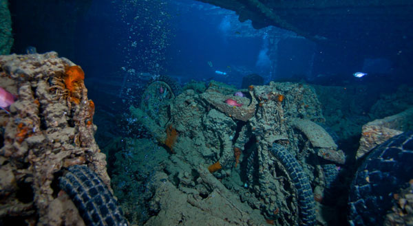 thistlegorm