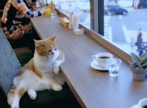 waiting-patiently-on-you-i-am-bored