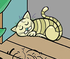 cat