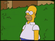 the-simpsons-homer-simpson