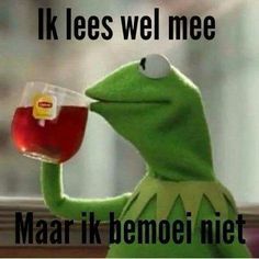 cd680e3f436714692cb0adfbfebbad72--kermit-the-frog-quotes-sipping-tea