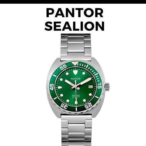 Watch_Template_-_2020-11-19T114656.371_480x480