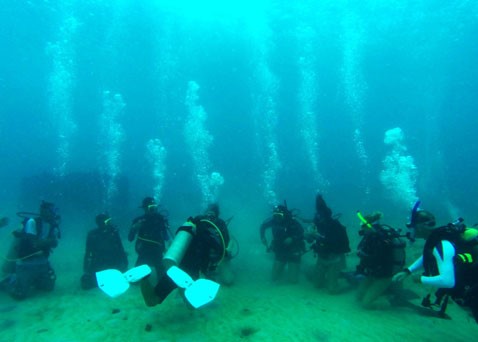 Diving in Barbados