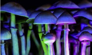 Psychedelic