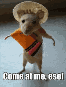fight-me-come-at-bro