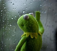 sad_kermit.original