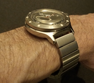 Amphibia on wrist check height