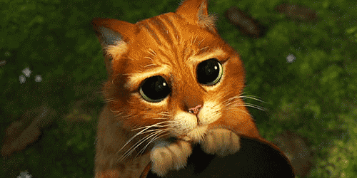 puss-eyes