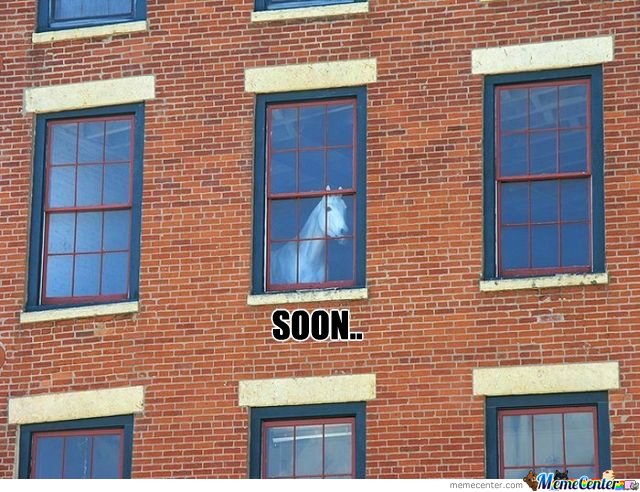 Soon-Horse-Looking-From-Window_o_112184