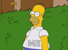 homer-simpson-bush