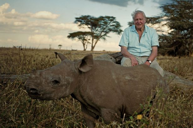 Sir David Attenborough with a three month old blind black rhino