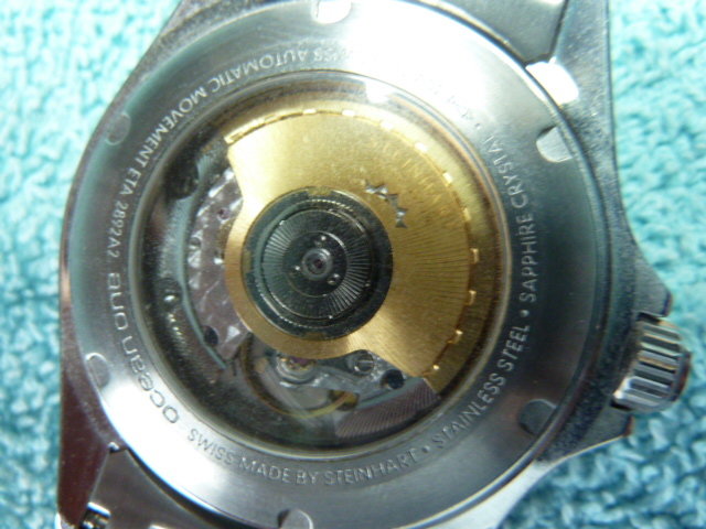 P1010013