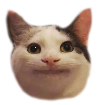 Polite CAT2