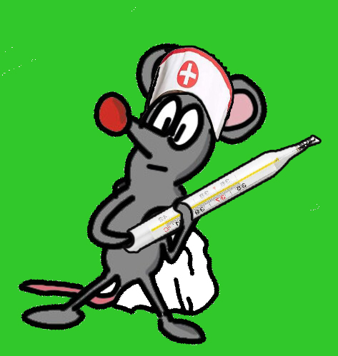muis