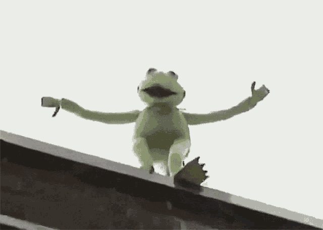 kermit-falling