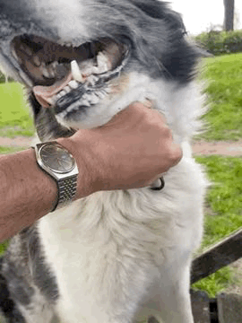 GIF-2023-05-20-18-26-14