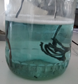 Blue solution after electrolysis