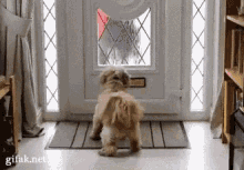 mail-dog