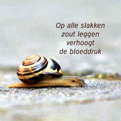 b67ae03d4634ef1212495450833a064e