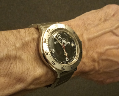 Amphibia on wrist angle 02