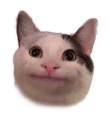 CAT7 (1)