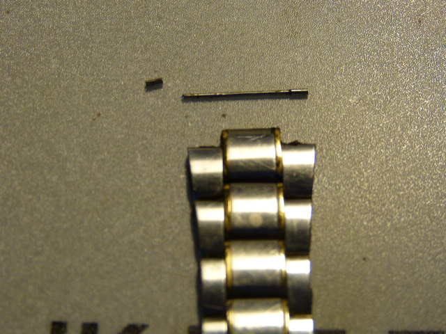 P1030131