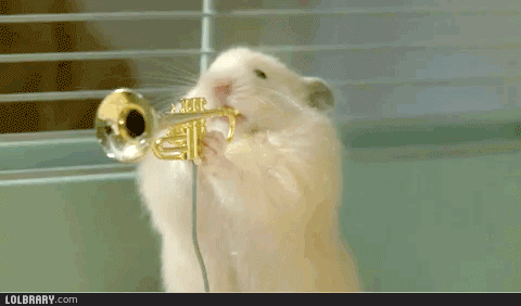 giphy (1)